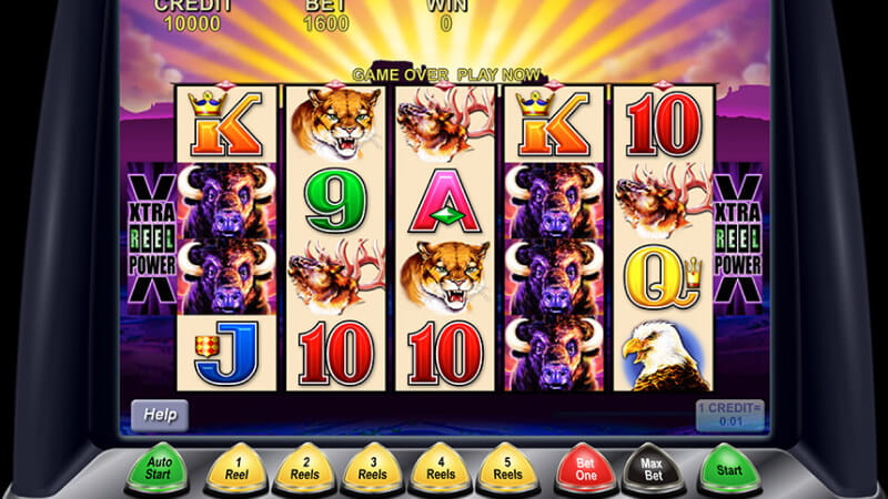 Machine à Sous Buffalo