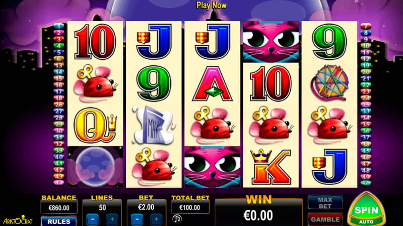 Machines à Sous Miss Kitty